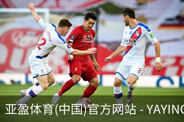 亚盈体育(中国)官方网站 - YAYING SPORTS